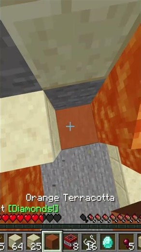 didnt silver or danyboy have a similar seed? #axnak #minecraft #gaming #memes #mcsr #speedruning
