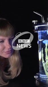 198K views · 950 reactions | "I'm questioning evolution, and how humans are evolving now." Amy Karle creates art, with a variety of material, including human cells. bbc.in/2vGU2y6 | BBC News | Facebook