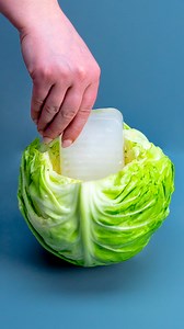 19K views · 102 reactions | What I did with the cabbage is pure madness! Ingredients cabbage: 1 pc onion: 1 pc carrot: 1 pc garlic: 5 g (0.2 oz) eggs: 2 pc black pepper: 2 g (0.1 oz) salt: 3 g (0.1 oz) chili flakes: 1 g (0.0 oz) oregano: 1 g (0.0 oz) flour: 120 g (4.2 oz) butter: 30 g (1.1 oz) vegetable oil: 5 ml (0.2 fl oz) Additionally mayonnaise: 200 g (7.1 oz) Dijon mustard: 15 g (0.5 oz) lemon: 1 pc dill: 5 g (0.2 oz) | Appetizing.tv | Facebook