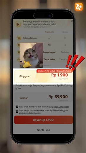 Better VPN browser!