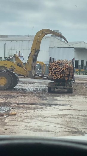 Excavator Loading Freshly Cut Logs in Fernandina Beach