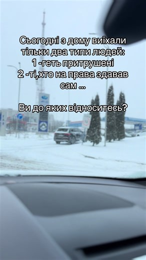 Зимові типи людей на дорогах України