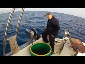 ΠΑΡΑΓΑΔΙ ΓΙΑ ΦΑΓΚΡΙΑ ΚΑΙ ΣΥΝΑΓΡΙΔΕΣ ΣΤΑ 160 ΜΕΤΡΑ (ΠΑΤΕΣΤΗΣ)HOBBYFISHING