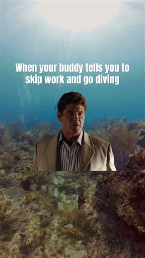 If I could afford it I’d go diving every day! #cavediving #wreckdiving #diveadventure