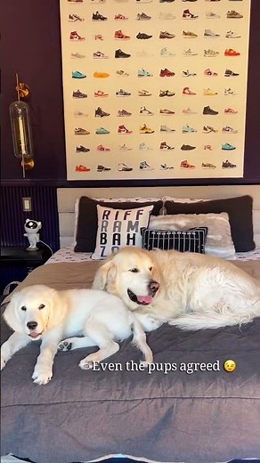 Installing a Hidden Door with Wallpaper!