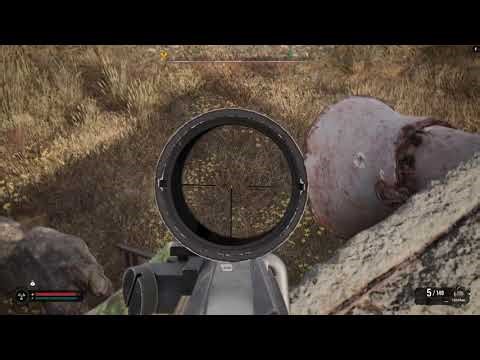 STALKER 2 - Activating the VPC Mirror