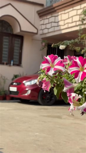 Daddy’s home 🙌 system error |#automobile #youtubeshorts #shorts #carlover #hyundai #verna #viral