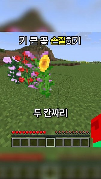 How to cut tall flowers in half