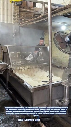 The Art of Rice Wine Making: Dispersing the Cooked Rice