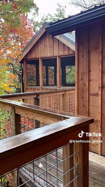 Exploring Treehouse Grove on a Rainy Day