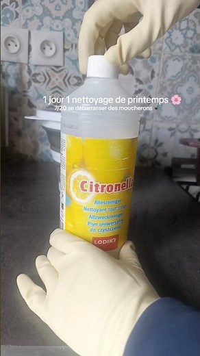 épisode 7 se débarrasser des moucherons dans la cuisine #cleantok #menage #astucenettoyage