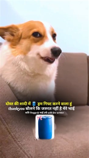 wild_fire_writter on Instagram: "सीमेंट भी देना है साथ में 😂😂😂 गांड़ फटी पड़ी है दोस्तो comeback रोक दिया गया है 🐕 viral #trending #short #rells #video #videoreel #videostory #video2024 #videohits 👔Tailored Suits! Prince Coat! Prince Suit - from Western Tailors & Fashion💐\n\nWe specialize in crafting Tailored Suits that\nmake your special day even more memorable! We tailor each suit to reflect your unique love\nstory💖\n\n🌍Wherever you are, we bring the essence of ethnic fashion to your d