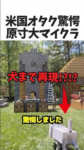 Full-scale Minecraft house🐕