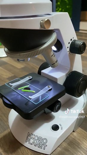 Microscopic sur TikTok