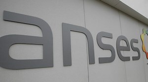 Arthrose : des compléments alimentaires à éviter en cas de diabète, d'asthme, de grossesse