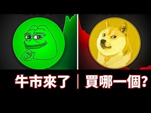 谁的潜力最大？pepe和doge谁有最有可能胜出？國中生超愛買meme幣的原因。2024牛市該買哪一隻幣？ #pepe #doge #meme
