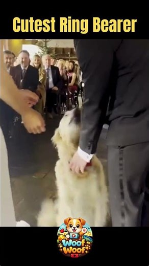 Cutest Ring Bearer Ever 🐶💍 Golden Retriever #shorts