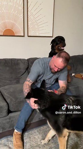 Exploring Rottweilers: Understanding Growling Behaviors