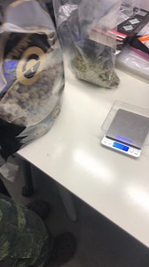 Ape in space (Exotic genetic) | The Peace of WEED