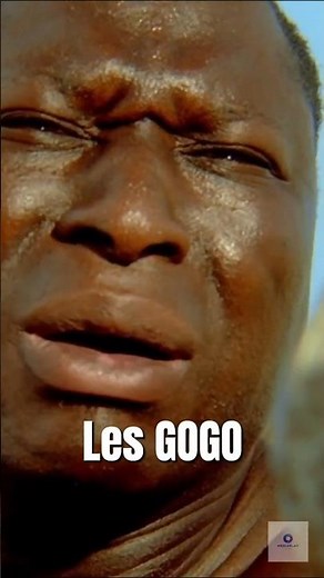 Best Of 5 - Astérix & Obélix : Mission Cléopâtre 🎬 #film