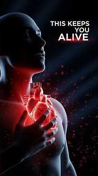 How the Heart Pumps Blood | The Silent Engine Keeping You Alive
