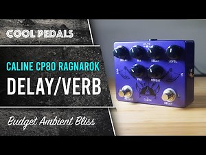 Caline CP80 Ragnarok. Delay and Reverb in a very affordable and simple and great sounding pedal.