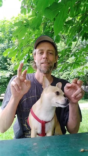 What is he signing? What is he finger spelling? . . . . . . . . .#asl #aslchallenge #signlanguage #ameeicansignlanguage #how #to #sign #SignLanguage #ASL #SignedLanguage #DeafCommunity #DeafCulture #SignLanguageLearning #LearnASL #SignLanguageInterpreter #DeafAwareness #SignLanguageForAll #DeafAndHardOfHearing #SignLanguageEducation #SignLanguageChallange #DeafPride #SignLanguageSupport #DeafAdvocacy #SignLanguageJourney #DeafInclusion #AccessibleCommunication . . . . . . . . . . . He is signing