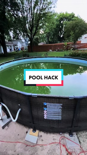 Kayla Honeycutt on TikTok