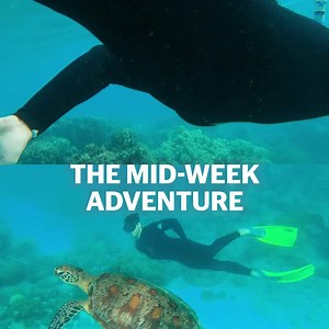 91 reactions · 42 shares | Queenslanders, let's get out there! Explore more, stay longer and immerse yourself in our vast backyard ➡️ where to next? | Visit Queensland, Australia | Facebook