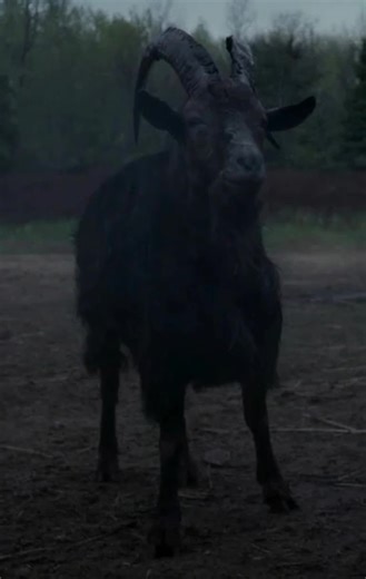 Black Phillip escaped The Witch… and discovered disco 🕺🐐 Started feral. Ended fabulous. Horror icon energy with a glitter ball twist—because even the Devil needs a groove. Hashtags: #TheWitch #BlackPhillip #DiscoHorror #HorrorTok