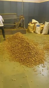 Turmeric (Haldi) Grinding plant automatic ☎️+91 88716 86000 | Punjab Engineering Corporation | Facebook