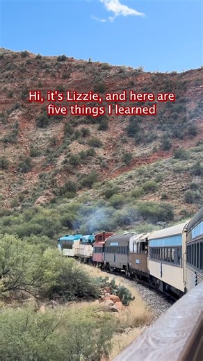 11K views · 52 reactions | Hi, it’s Lizzie  I just got back from...