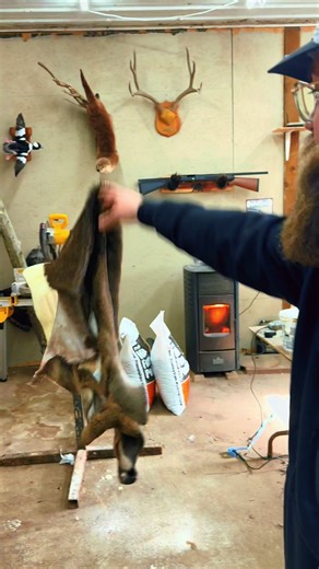 Elijah's Successful First Shoulder Mount