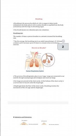 Class 7th Science Chapter 6 Respiration in organisms Notes #