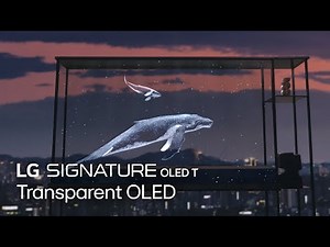 LG SIGNATURE : Transparent OLED | LG