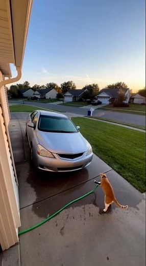 Someone seems to be having fun when we're out of the house. #trending