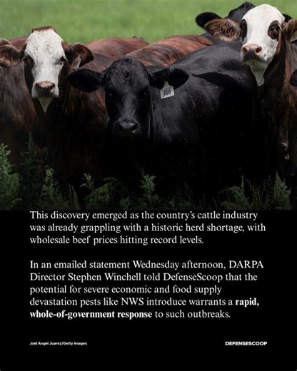 DARPA aiding America’s fight against flesh-eating new world screwworm invasion
