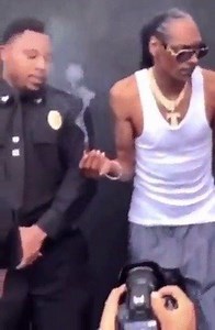 44K views · 192 reactions | If Snoop Dogg passes you a blunt you better smoke it. | Consequence of Hip-Hop | Facebook