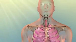 60K views · 594 reactions | Cholesterol is a crucial building block in every cell in your body. Here's how it can help -- and hurt -- your health: | WebMD | Facebook