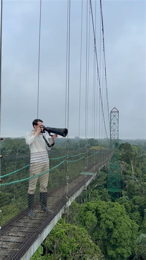 4.3K views · 303 reactions | The Amazon was already awake when I set...