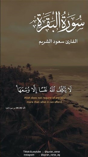 خواتيم سورة البقرة امن الرسول بما انزل اليه من ربه سعود الشريم سورة البقرة القران الكريم HD