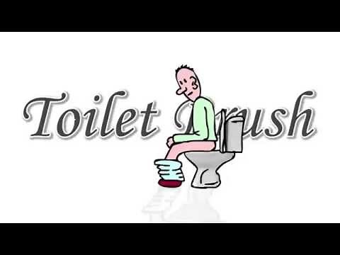 How to use the toilet brush (tutorial)