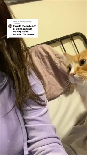 Discover the Cutest Cat Sounds in Our Video