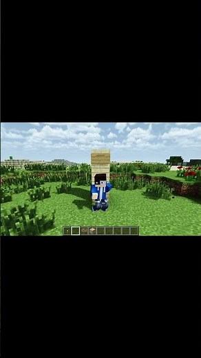 MINECRAFT DANCING!🤩