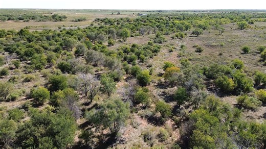 🦌Quail Haven | 320 Acres | Childress County Discover Quail Haven, a true Panhandle honeyhole for hunting, recreation, and quiet country living. With rolling terrain, grass meadows, brush, and nearly a mile of Buck Creek winding through the property, it offers prime habitat for deer, turkey, and quail. Add in a cozy hunting cabin, a 30x50 metal shed, working pens, and easy paved access—and you have the perfect Texas getaway for anyone seeking wildlife, privacy, and wide-open views. See full list