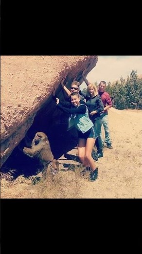 DEPECHE MODE: rare forgotten PICS any period by fans mostly or paparazzi 🕵 😂