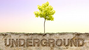 Blender Game Making contest 21