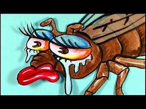 Tortures for Flies: Social Disease