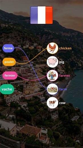 🇫🇷 French Daily Life Words Vocabulary 🇫🇷 ferme, poulet, fermier, vache, cochon #français