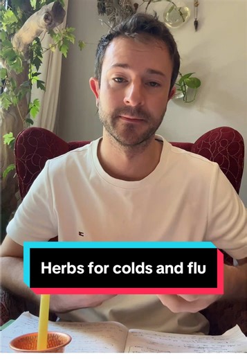 Here is a list of herbs for colds and flu. As I’m sure you have heard I am currently using these herbs to get myself better from a cold. These herbs are immune boosting and have a history of being used for shortening and reducing the severity of colds and flu.